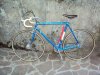 DSC00700.jpg