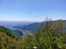 IMG_20260502_144636.jpg