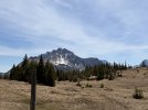 IMG_8390.jpeg