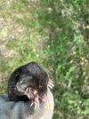 IMG_5133.jpeg