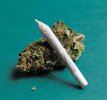 marijuana.jpg