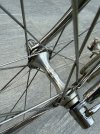 IMG_6657.jpeg