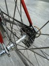 IMG_6658.jpeg