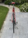 IMG_6662.jpeg