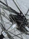 IMG_6668.jpeg