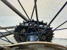 IMG_8279.jpeg