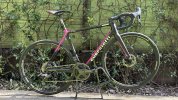 IMG_2695.jpeg