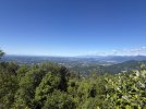 IMG_8500.jpeg