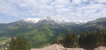 20260517_094630.jpg