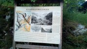 IMG_20260517_143835.jpg