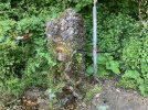 IMG_5200.jpeg