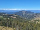 20260523_111918.jpg
