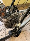 IMG_5018.jpeg