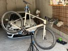 IMG_8558.jpeg