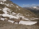 IMG_0873.jpeg