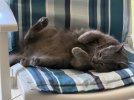 IMG_5552.jpeg