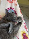 IMG_5561.jpeg