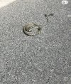 IMG_5243.jpeg