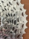 IMG_6125.jpeg