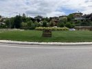 IMG_5246.jpeg