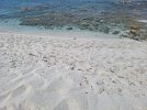 20260607_121021.jpg