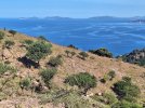 20260608_095459.jpg