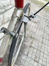 IMG_9388.jpeg