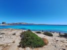 20260609_120237.jpg