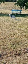 20260612_083315.jpg
