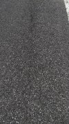 IMG_6427.jpeg