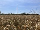 IMG_5283.jpeg