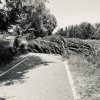 IMG_5284.jpeg