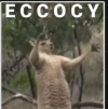 1781705132706.png 1781705132706.png