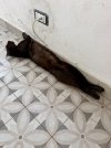 IMG_7108.jpeg