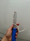 13013.jpg