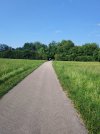 IMG_20260625_082916.jpg