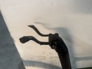 IMG_3436.jpeg