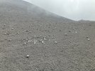 IMG_5386.jpeg