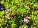 IMG_20260628_120618.jpg