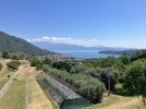 IMG_5451.jpeg IMG_5451.jpeg
