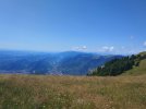 IMG_20260719_123220.jpg