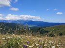 IMG_20260719_124053.jpg