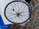 20260723_091043.jpg