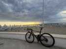 IMG_3805.jpeg