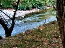 20260723_183643.jpg 20260723_183643.jpg