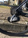 IMG_6169.jpeg