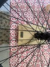 IMG_9825.jpeg