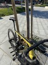 IMG_6555.jpeg