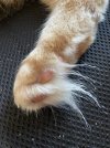 IMG_9560.jpeg