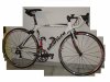 bici211.JPG